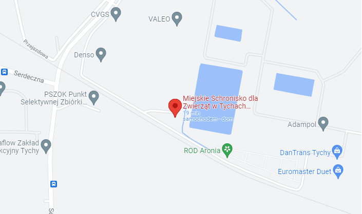 Przedstawienie lokalizacji Schroniska w Google Maps